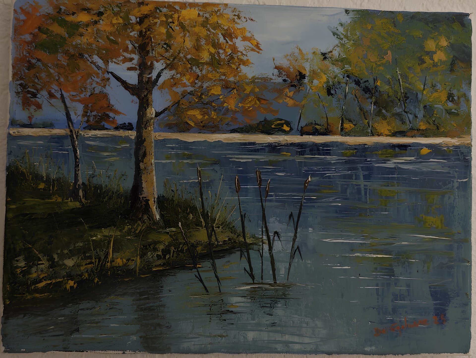 Les roseaux du lac.