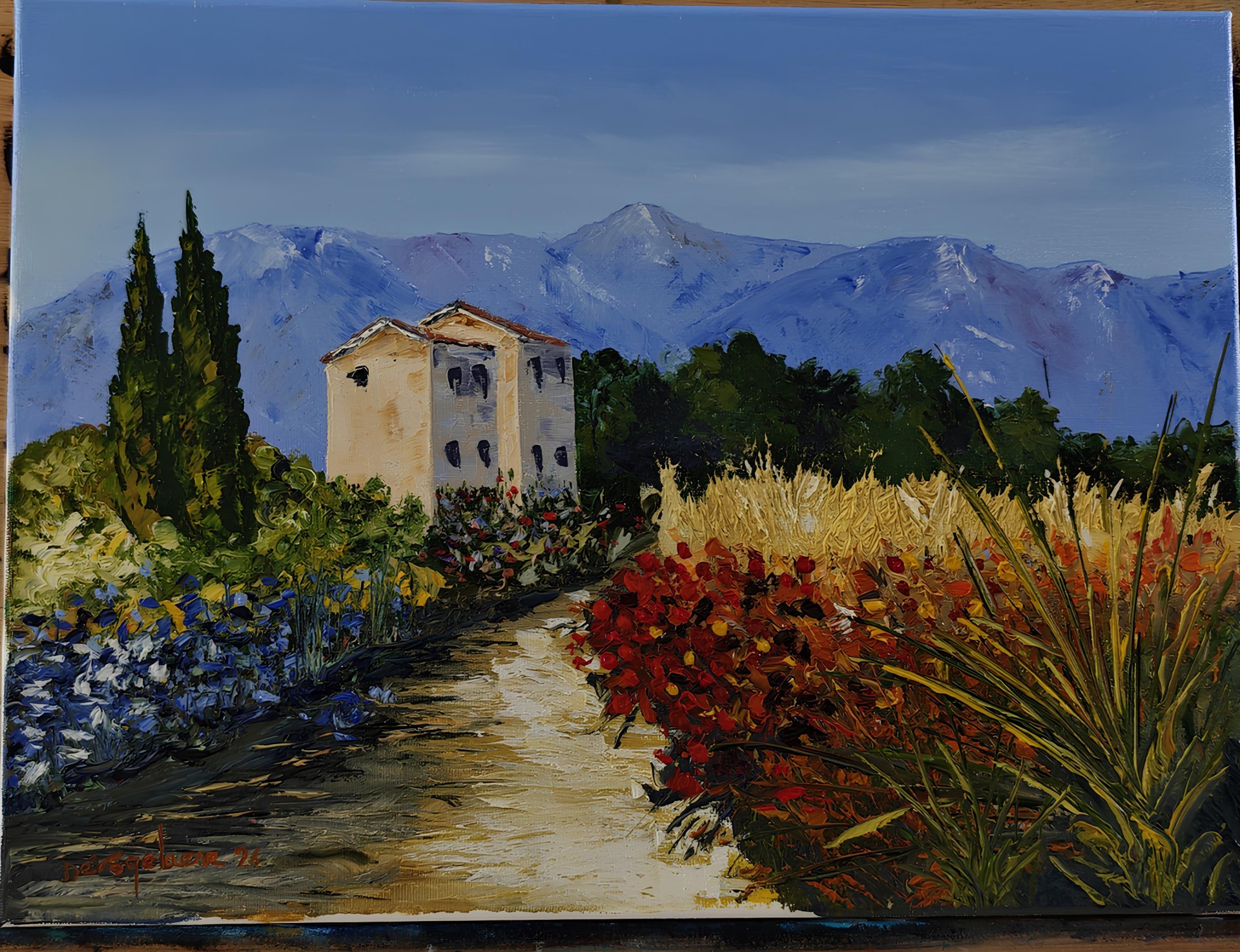 Les mas des Alpilles
